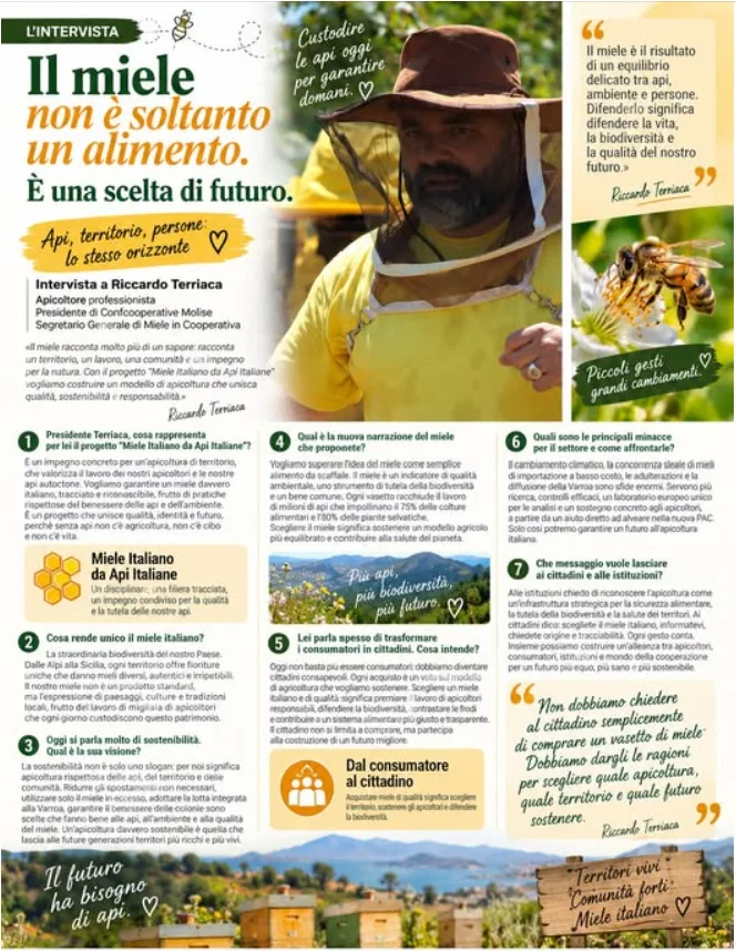 Il miele non è soltanto un alimento: intervista su api, territorio e futuro